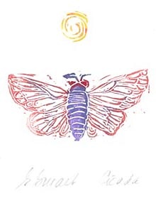 Cicada