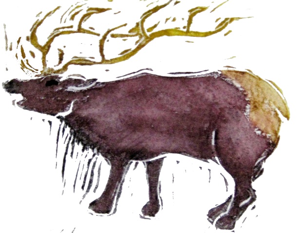 Elk