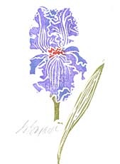 Iris2