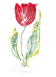 Tulip