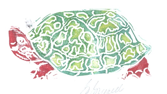 Turtle